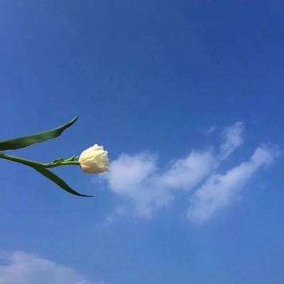 独步武林折扣平台下载