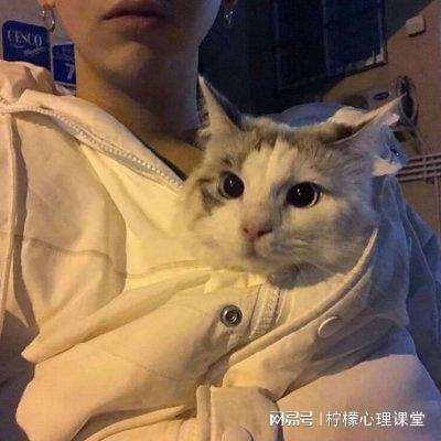 黎明生存官方下载