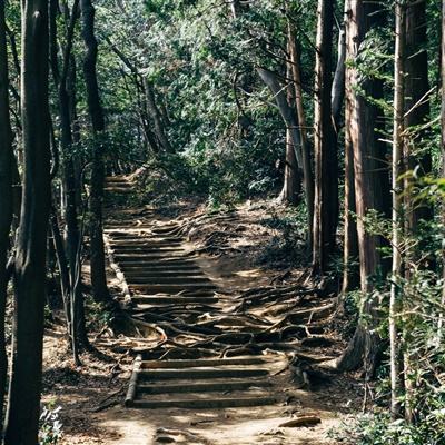 学园偶像季群星闪耀国服试玩版下载