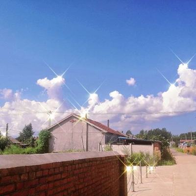 西游记之大圣归来360官方版下载